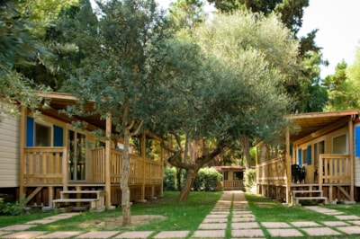 Mobilhome Magona — 2