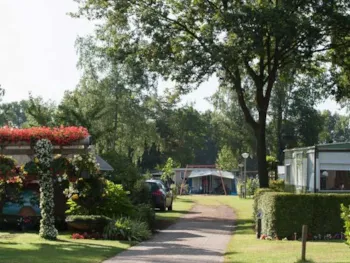 Stellplatz - Stellplatz Komfort Senior +50 - Camping den Blanken