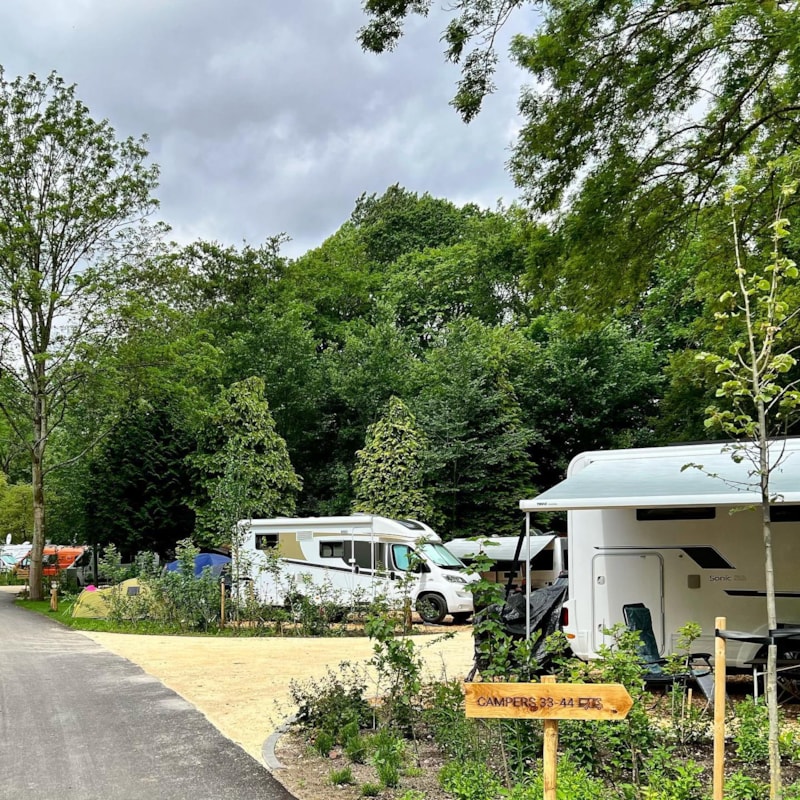 Camping Vliegenbos - Photo 3