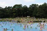 Foto #15 van RCN Vakantiepark de Roggeberg