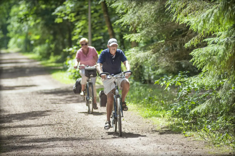 RCN Vakantiepark de Roggeberg