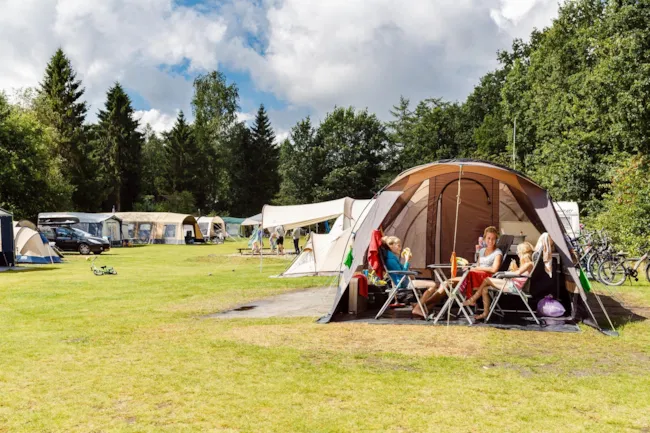 RCN Vakantiepark de Roggeberg - image n°1 - Camping Direct