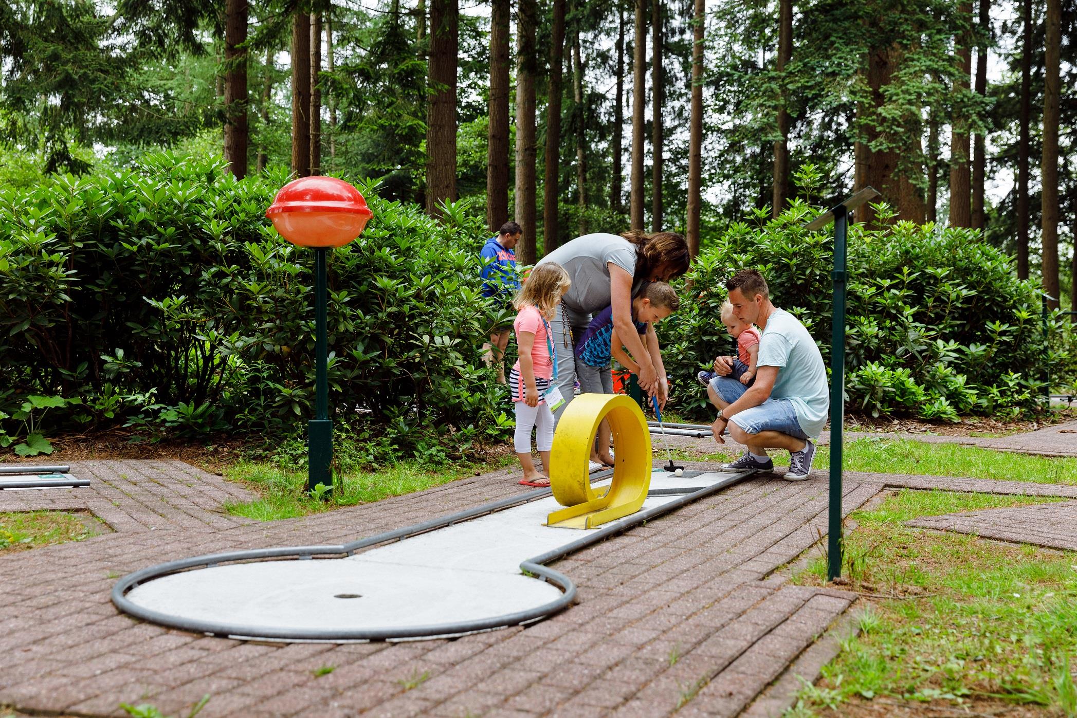 Leisure Activities Rcn Vakantiepark De Roggeberg - Appelscha