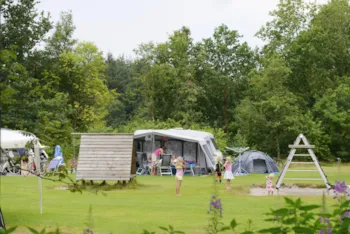 Stellplatz - Komfortplatz - RCN Vakantiepark de Roggeberg
