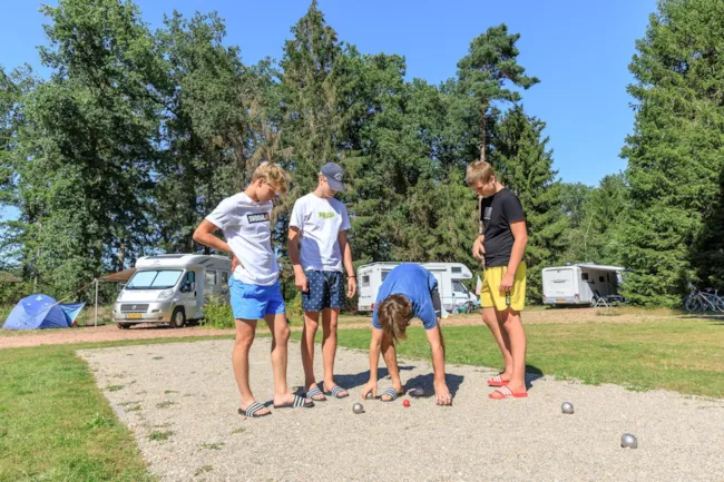 RCN Vakantiepark de Roggeberg - image n°4 - Camping Direct