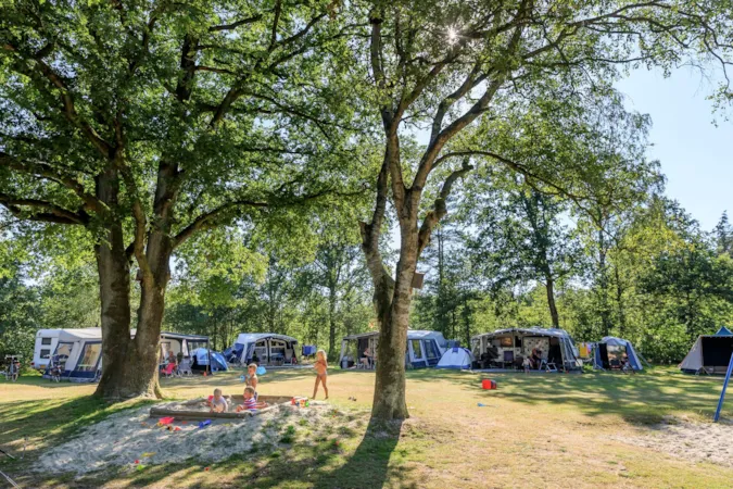 RCN Vakantiepark de Roggeberg - image n°1 - Camping Direct