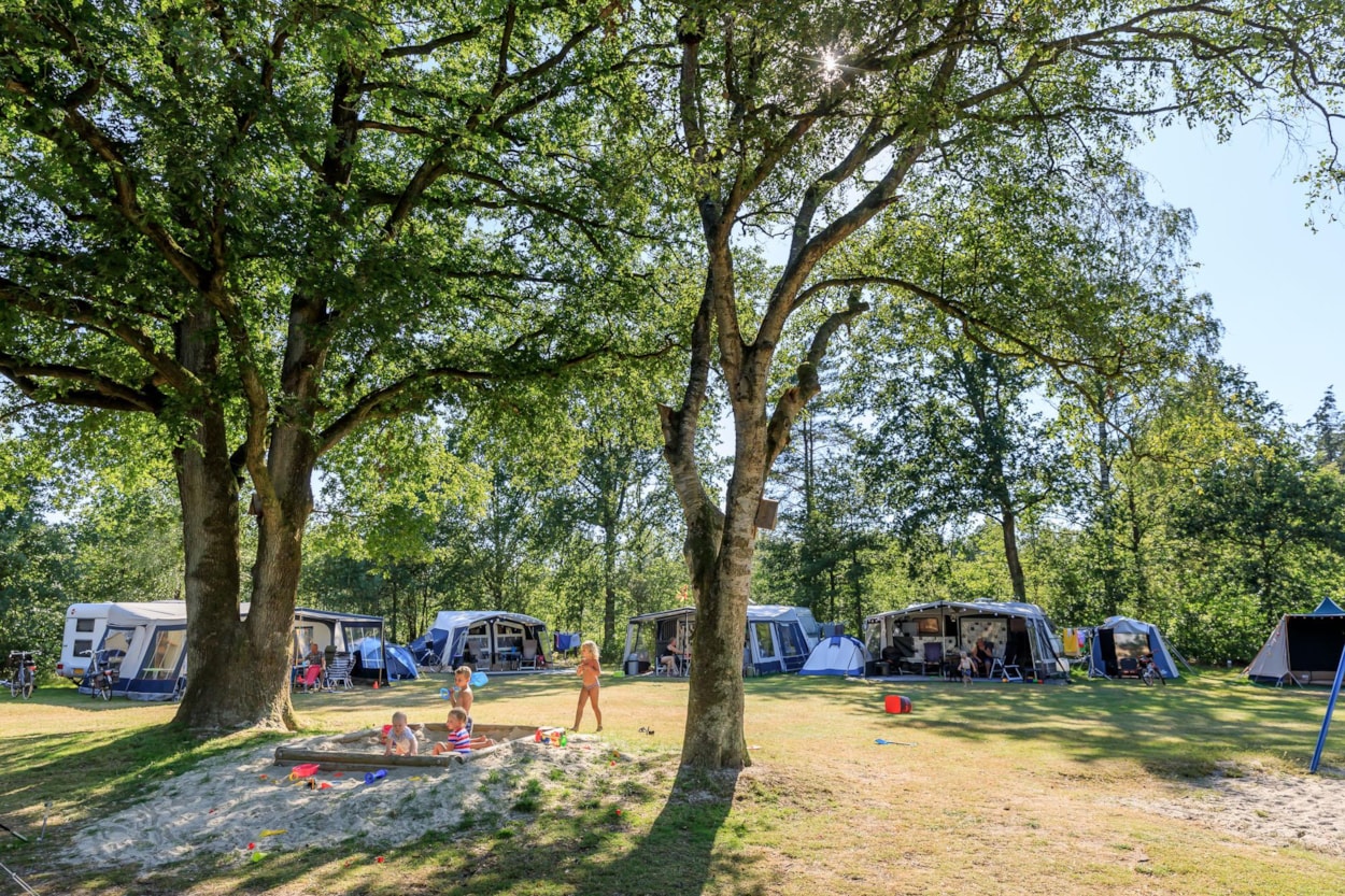 RCN Vakantiepark de Roggeberg