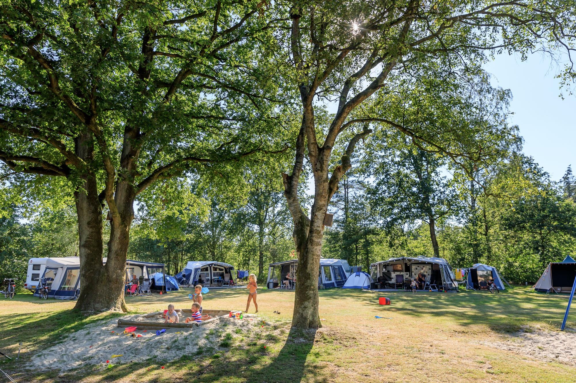 RCN Vakantiepark de Roggeberg — Photo 1