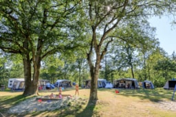 RCN Vakantiepark de Roggeberg - image n°6 - Roulottes
