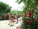 Camping Baia Del Marinaio Camping Baia Del Marinaio