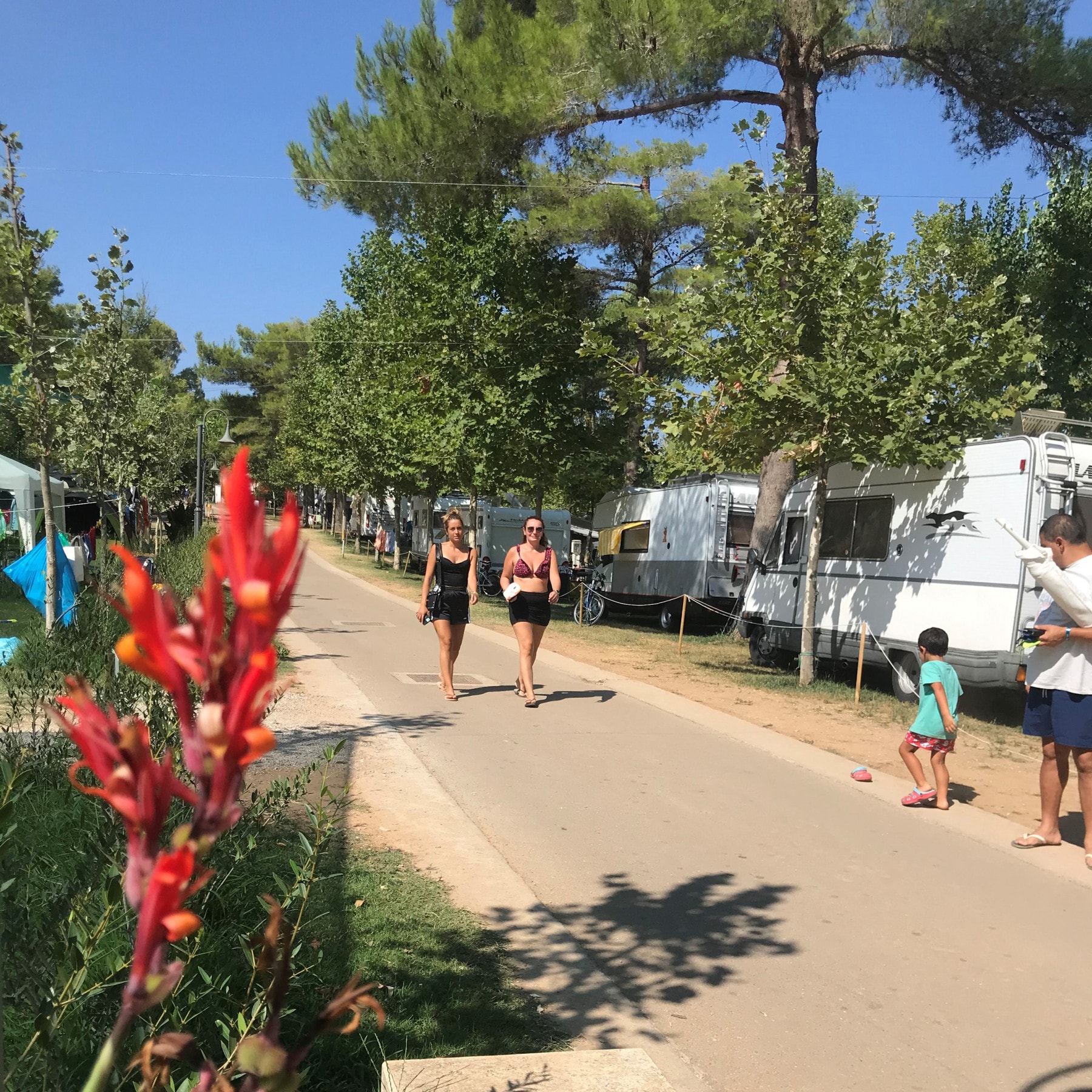 Baia di Gallipoli Camping Village — Foto 3