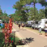 Foto #3 van Baia di Gallipoli Camping Village