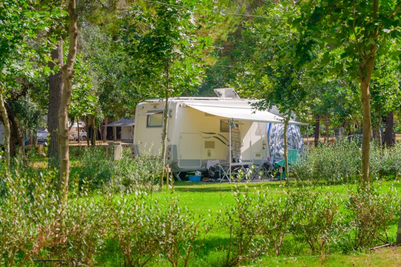 Emplacement Comfort (120M²)