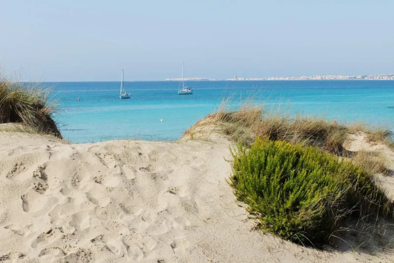 Emplacement Standard - 60/80M²