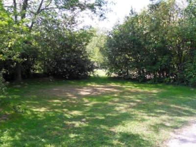 Pitch + Tent or Caravan (vehicle extra) — 5