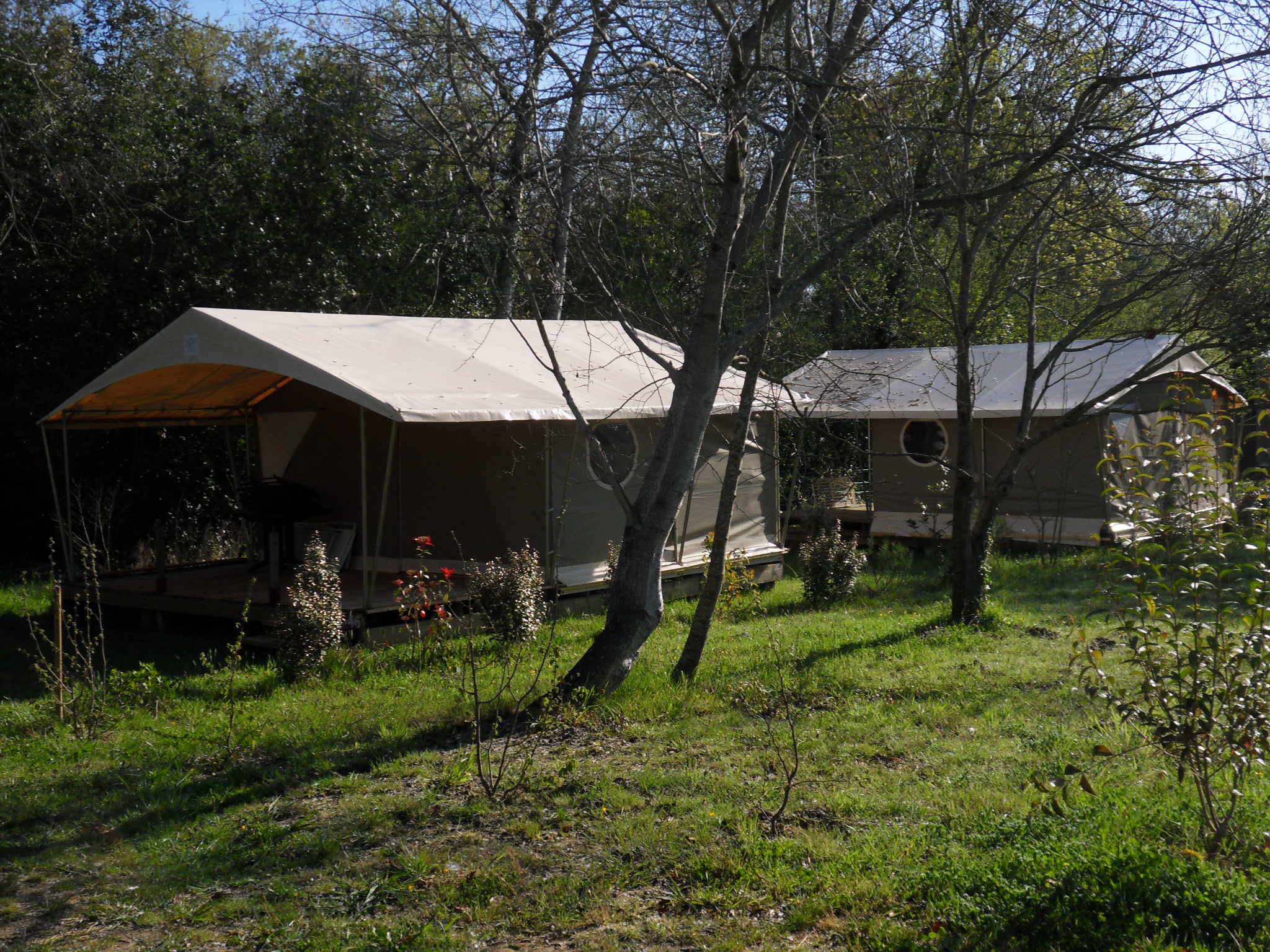 Accommodation - Tente Lodge 6P - CAMPING ETCHE ZAHAR