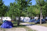 Foto #3 van San Francesco Camping Village