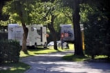 Piazzola A: Auto + Tenda/Roulotte O Camper + Elettricità 3A Piazzola A: Auto + Tenda/Roulotte O Camper + Elettricità 3A