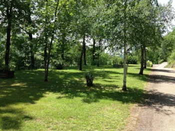 Stellplatz - Stellplatz Confort (Zelt, Wohnwagen, Wohnmobil / 1 Auto / Strom 6A) - Camping Sunêlia La Source