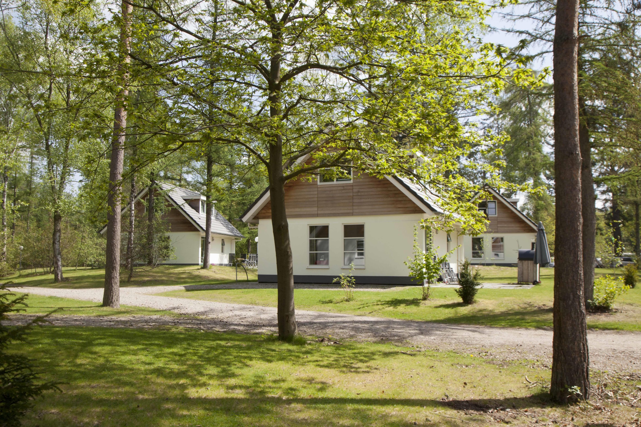 RCN Vakantiepark het Grote Bos — Photo 7