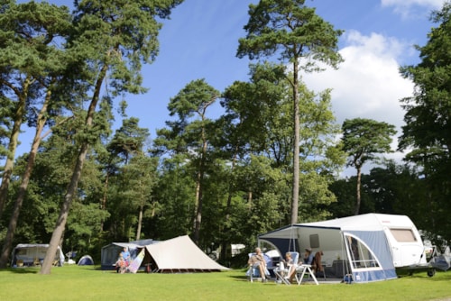 Foto #1 van RCN Vakantiepark het Grote Bos