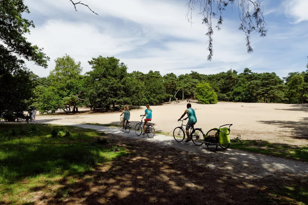 RCN Vakantiepark het Grote Bos