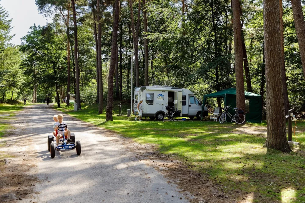 RCN Vakantiepark het Grote Bos - image n°21 - Camping Direct