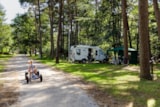 Foto #33 van RCN Vakantiepark het Grote Bos