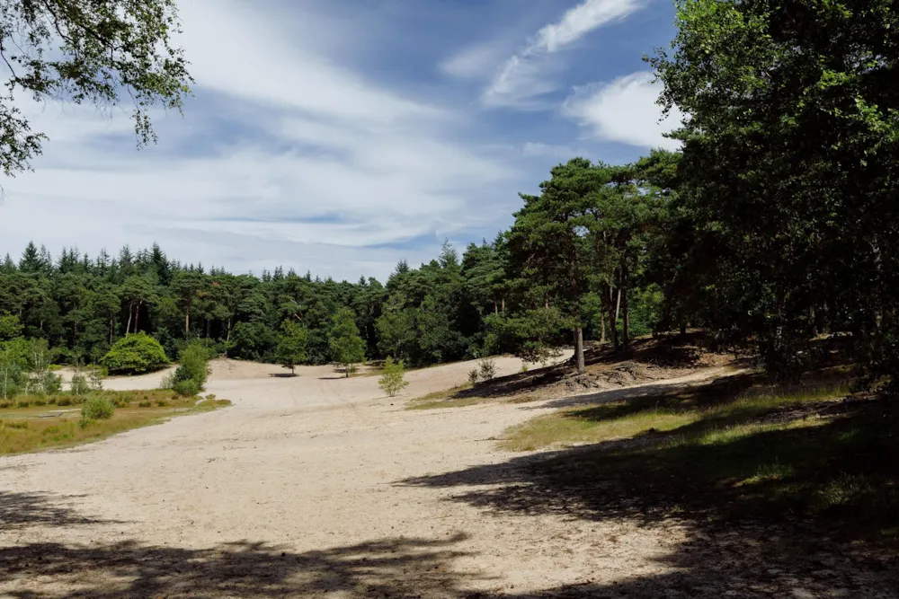 RCN Vakantiepark het Grote Bos