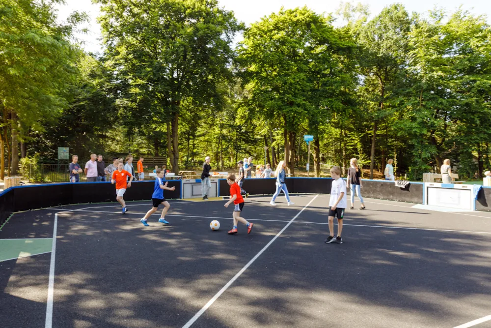 RCN Vakantiepark het Grote Bos