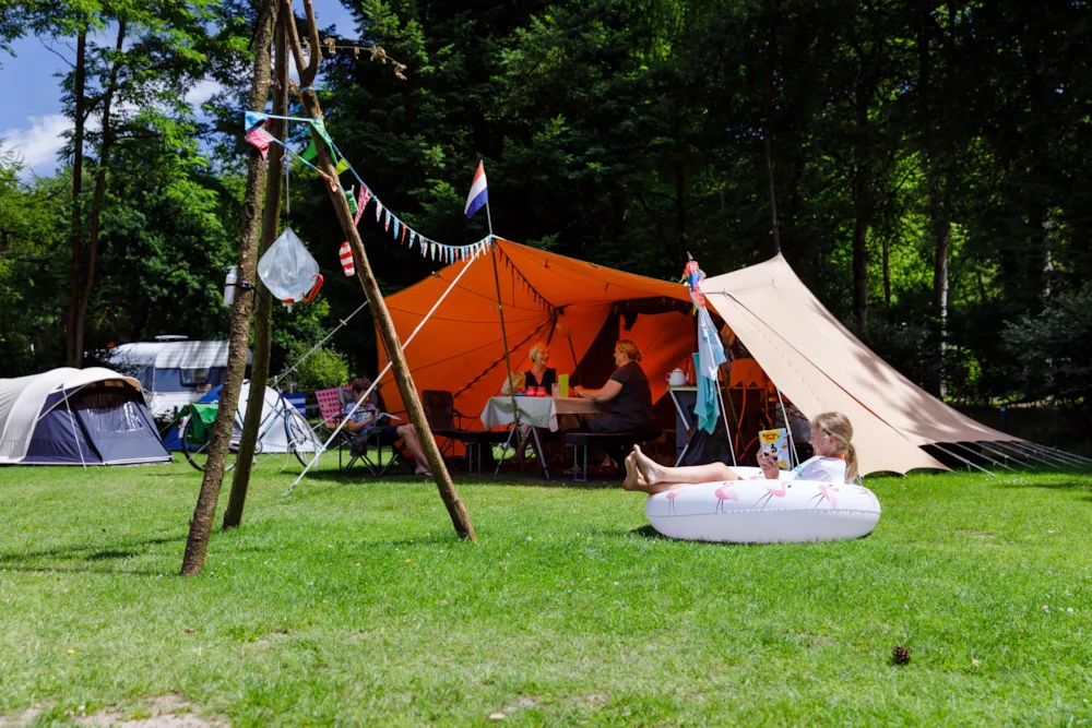 RCN Vakantiepark het Grote Bos - image n°8 - Camping Direct