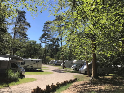 Camper pitch