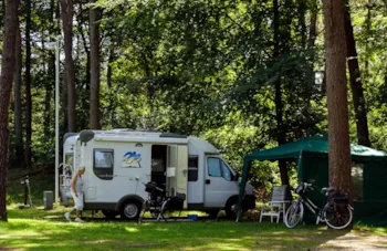 Stellplatz - Wohnmobilstellplatz - RCN Vakantiepark het Grote Bos