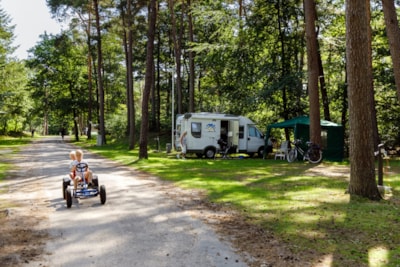 Camper pitch