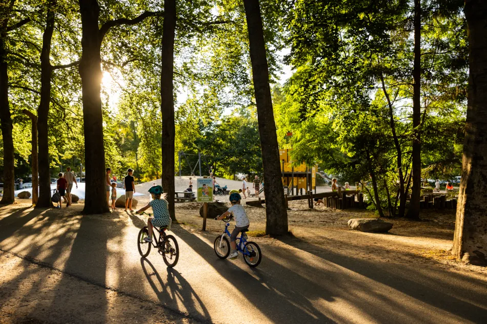 RCN Vakantiepark het Grote Bos