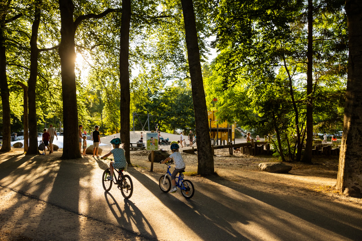 RCN Vakantiepark het Grote Bos