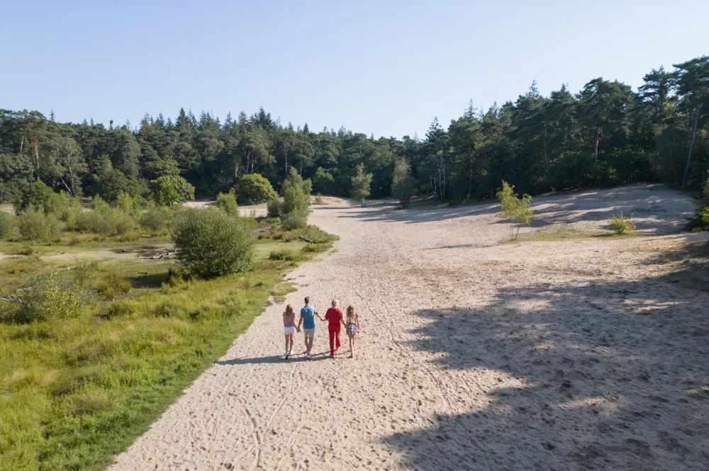 RCN Vakantiepark het Grote Bos