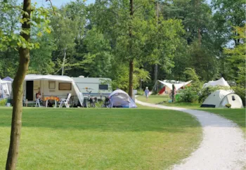 Stellplatz - Stellplatz - RCN Vakantiepark het Grote Bos