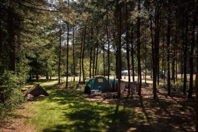 Wildenberg ( for campers)