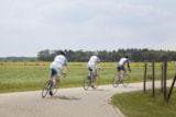 Foto #42 van RCN Vakantiepark de Flaasbloem