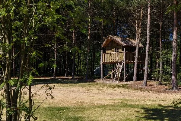 Stellplatz + Baumhäuse
