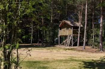 Stellplatz - Stellplatz + Baumhäuse - RCN de Flaasbloem