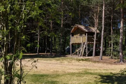 Piazzola + Capanne Sugli Alberi