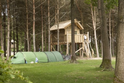Pitch + Tree house