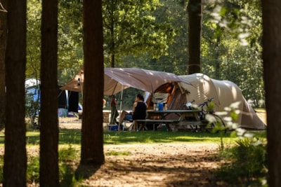 Wildenberg ( for campers)