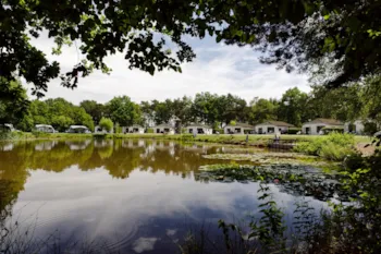 Mietunterkunft - Chalet Stuga - Type C6 - RCN de Flaasbloem