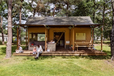 Safari tent Moose
