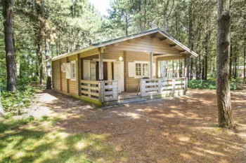 Mietunterkunft - Forest Lodge - RCN de Flaasbloem