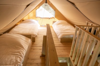 Safari tent Moose