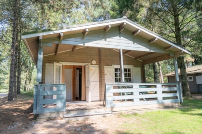 Forest lodge